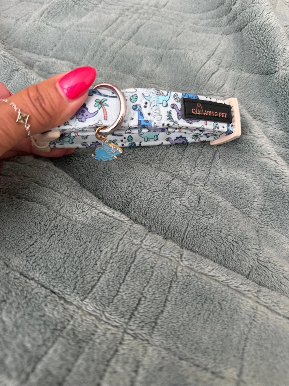 Darling Light Blue Collar with Purple and Blue Accents